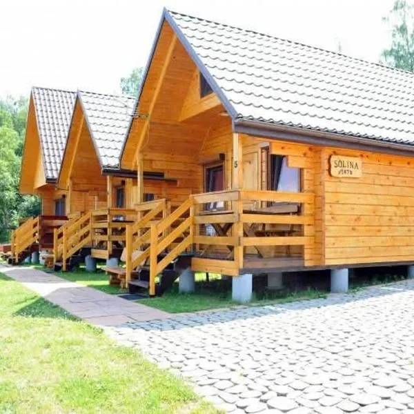 Domki PIĘKNY WIDOK，位于索利纳的酒店