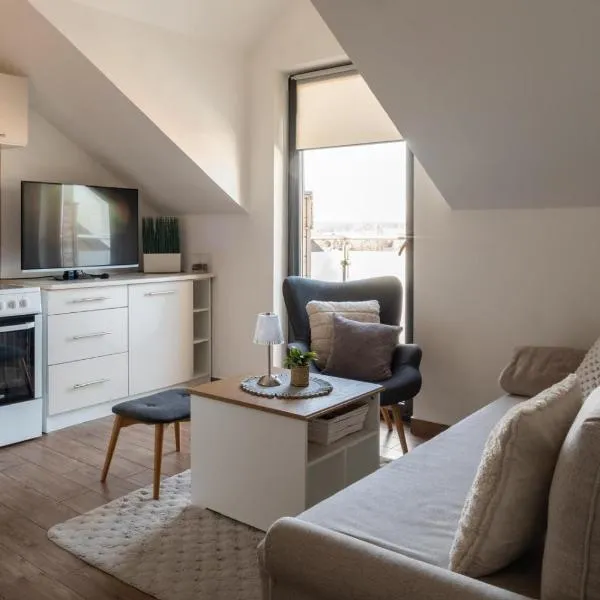 Apartament KOLEJOVA 21 - przytulny apartament, blisko centrum，位于新塔尔格的酒店