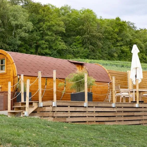 Nuit insolite : tonneau enchanté，位于Cormoyeux的酒店