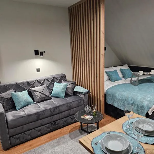 Nest 316 Bela Reka Kopaonik，位于布尔泽策的酒店