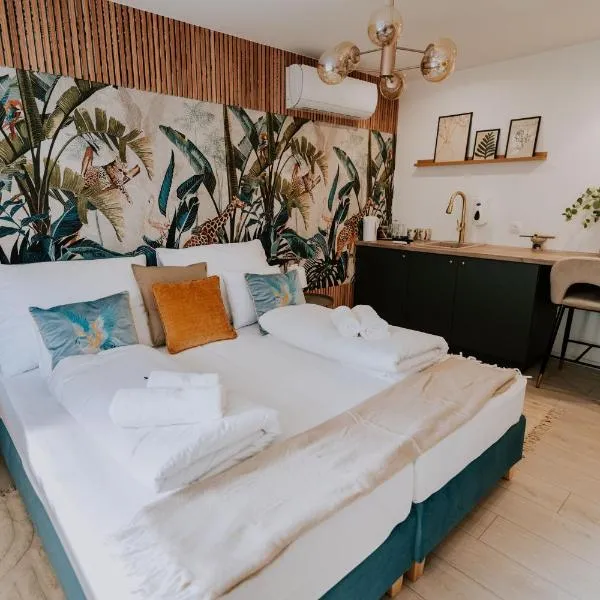 Maison de Luxe，位于塞格德的酒店