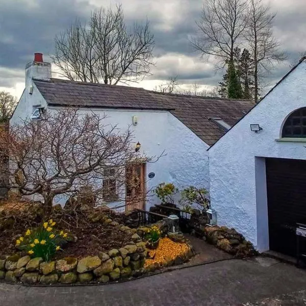 Riverside Cottage at Logwood Mill，位于Ballyclare的酒店