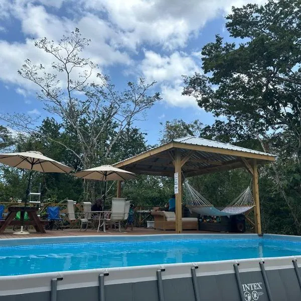 The Howler Jungle House and Cabanas，位于伯利兹城的酒店