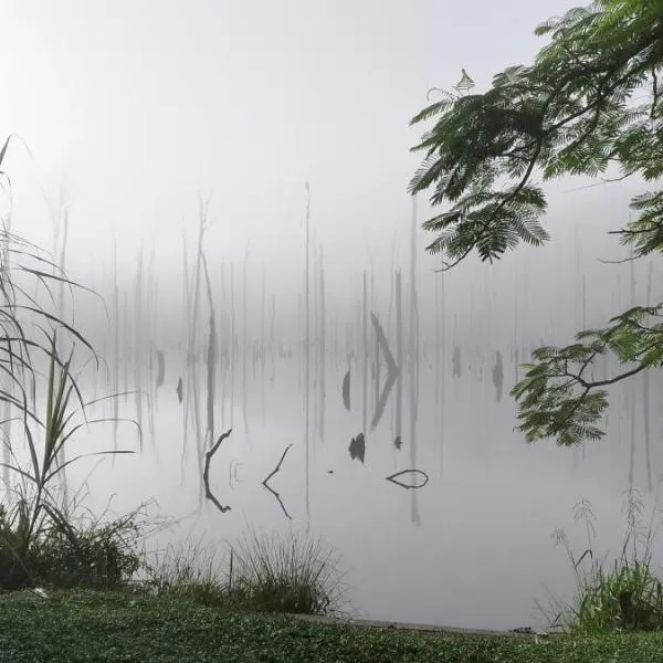 Maison en bord de rivière，位于Mana的酒店
