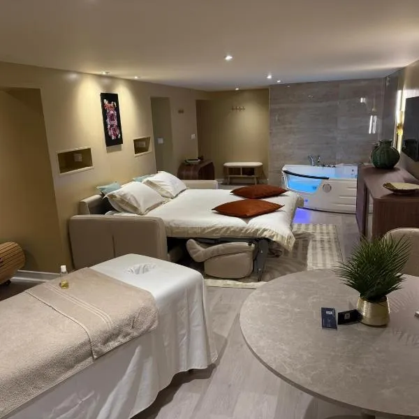 Spa Suite Loft，位于维希的酒店