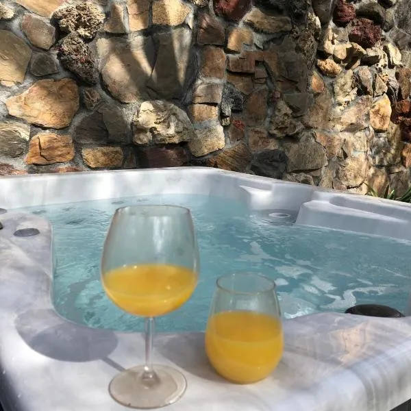 Guesthouse Near Sequoia & Kings Canyon Parks，位于斯阔谷的酒店