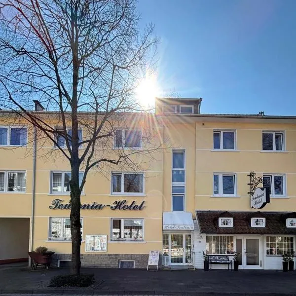 Ferienwohnung No 19 Teutonia Hotel，位于霍恩-巴特迈恩贝格的酒店