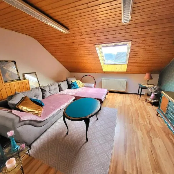 Gemütliche Ferienwohnung mit Ausblick auf das Saarpolygon，位于萨尔路易斯的酒店