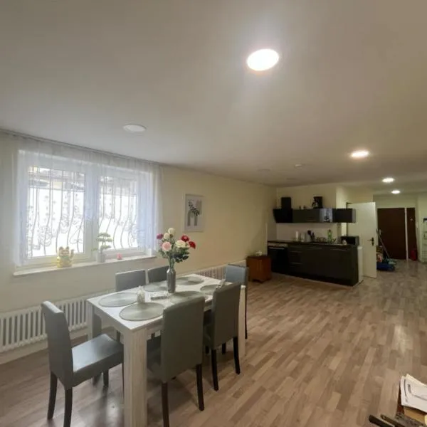 Ferienwohnung am Neumarkt，位于奥尔巴赫的酒店
