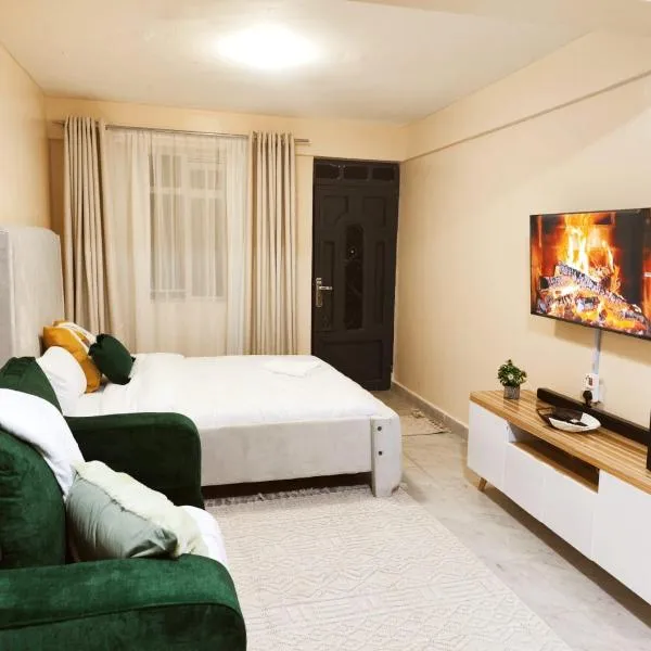 R&R NAI-POSHA Studios，位于奈瓦沙的酒店