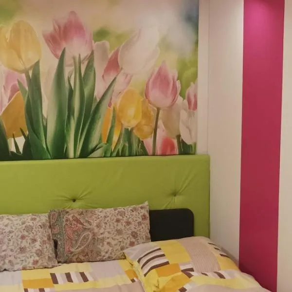 Gościnne Gniazdo，位于本津的酒店