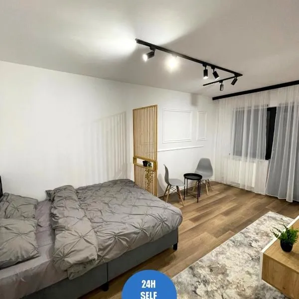 Studio Fălticeni，位于弗尔蒂切尼的酒店
