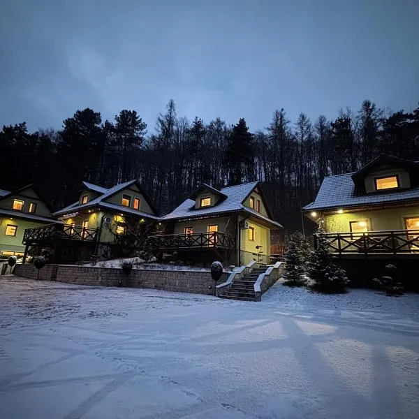Leśne Zacisze，位于拉德库夫的酒店