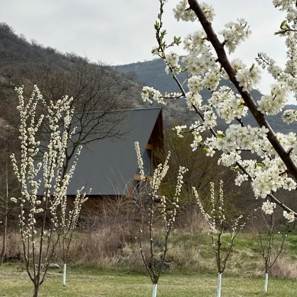 Samshvilde Hideaway，位于Daghetʼkhachʼini的酒店