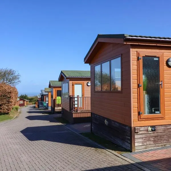 Daffodil Lodge，位于伊尔弗勒科姆的酒店