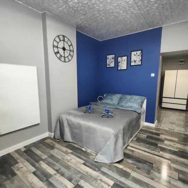 721 Slate Apartament Jedlina-Zdrój，位于耶德利纳-兹德鲁伊的酒店