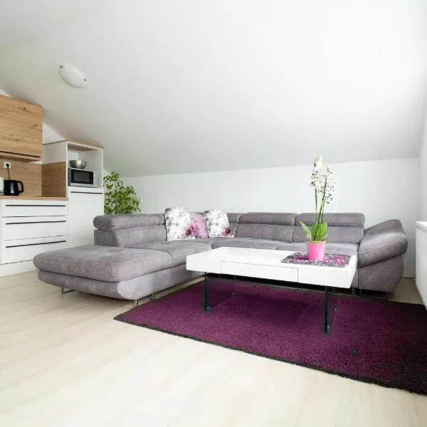 Apartman Keti，位于Donja Lomnica的酒店