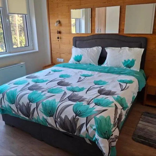 Apartment Relax Chamkoria Borovets，位于波罗维茨的酒店
