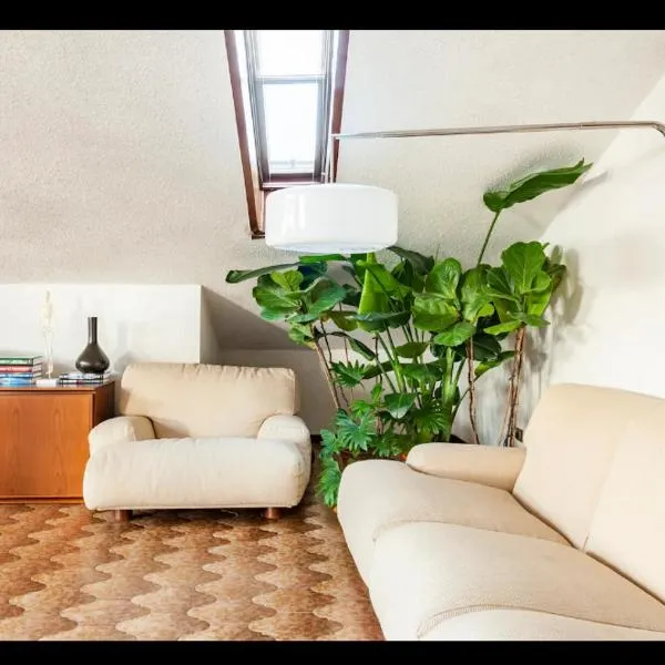 Damazon room - Stanza con parcheggio privato，位于维亚雷焦的酒店