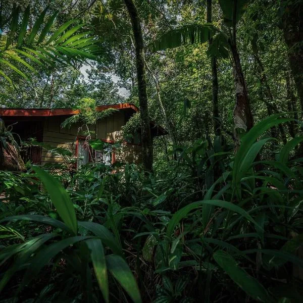 Jaguarundi Jungle Lodge - Monteverde，位于蒙泰韦尔德哥斯达黎加的酒店