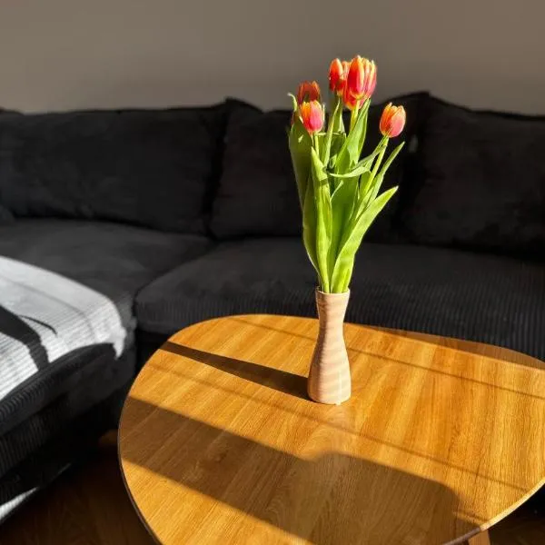 apartmán Nataly，位于大克尔季什的酒店