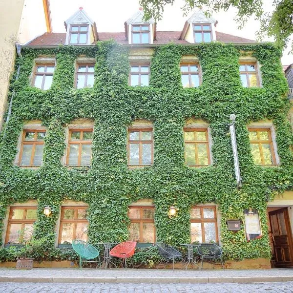 Zum Alten Krug，位于萨勒河畔瑙姆堡的酒店