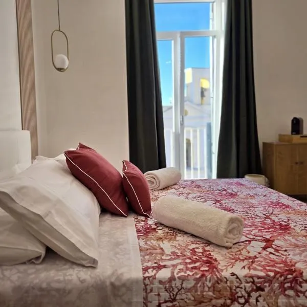 O' Vesuvio B & B，位于托雷德尔格雷科的酒店
