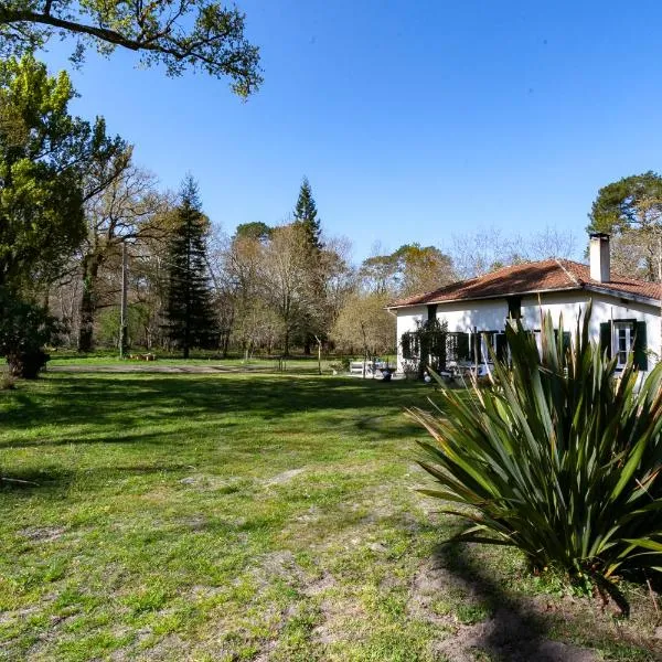 Domaine forestier Darricau au bord du lac, 12 min de l'océan，位于欧雷扬的酒店