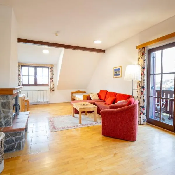 Apartmaji Bar Smučar，位于Ribnica na Pohorju的酒店