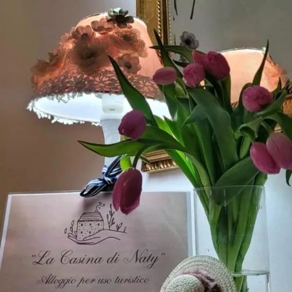 La Casina di Naty，位于Alatri的酒店