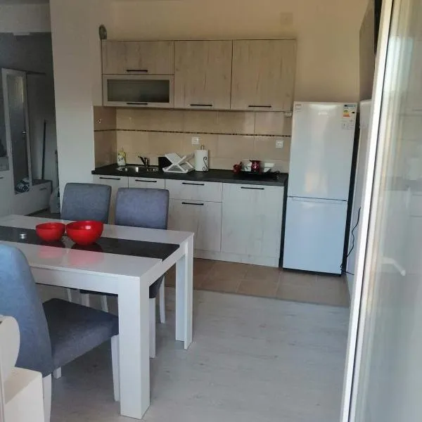 Apartman Tamara，位于Popadić的酒店