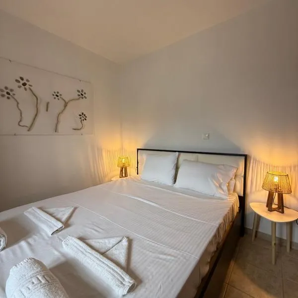 Meltemi Beach Apartment,位于莫什劳斯的酒店