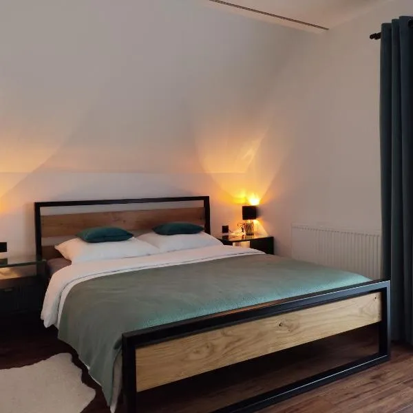 Noclegi SKORUSINKA，位于维托韦的酒店