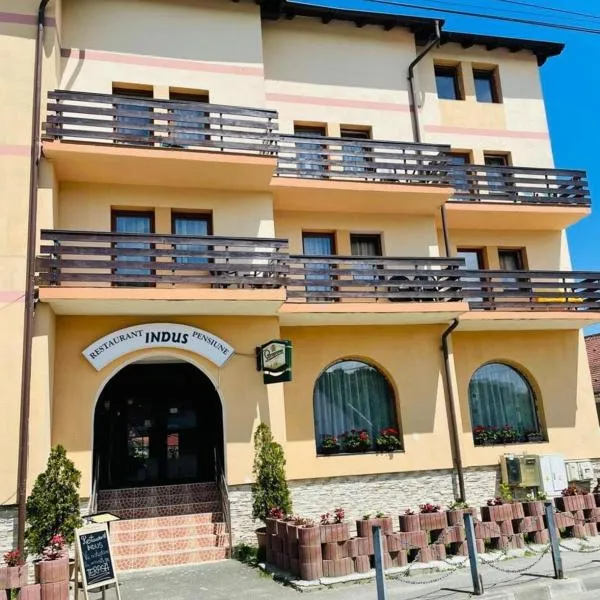 Pensiune Restaurant Indus，位于锡比乌盐矿镇的酒店