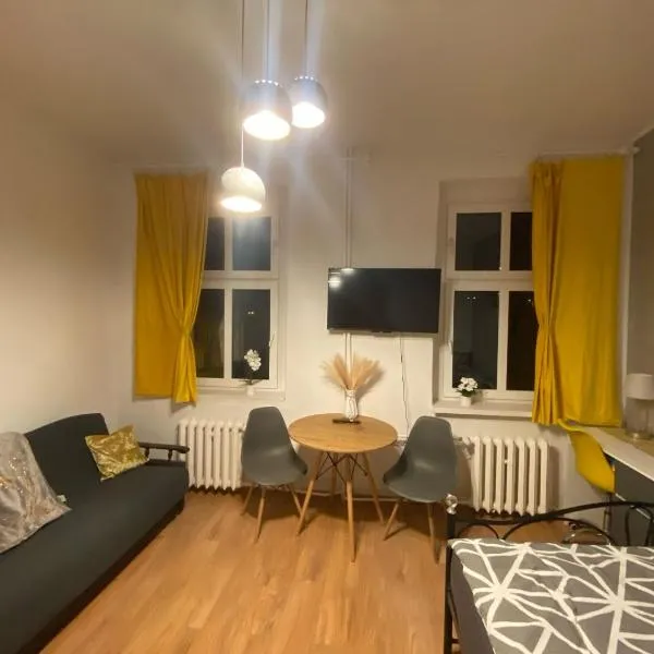 Magnolia Rooms Plus，位于托伦的酒店