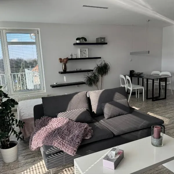 Apartment Husova，位于波杰布拉迪的酒店