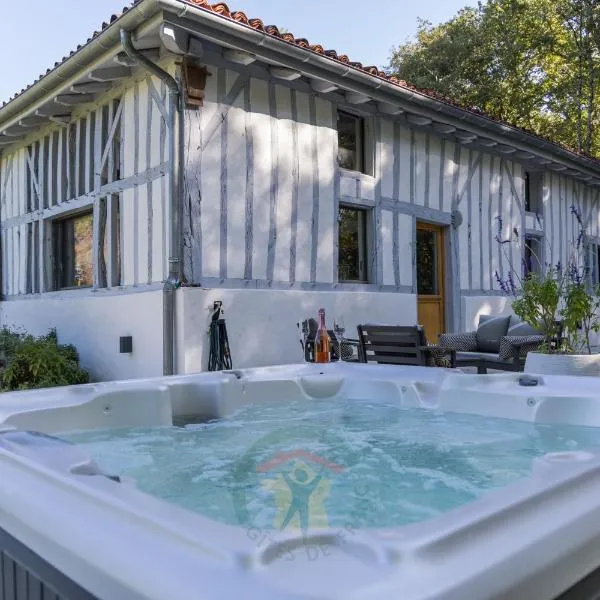 Gite et Spa La Bougerie，位于Bélis的酒店