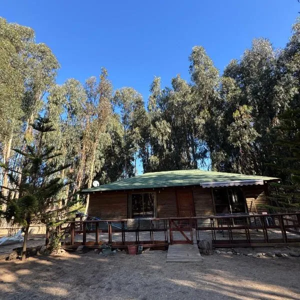 Cabaña Bosque Los Duendes，位于普琼卡维的酒店