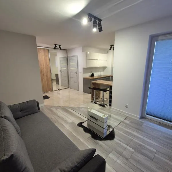 Megga Apartament z Garażem，位于斯卡维纳的酒店