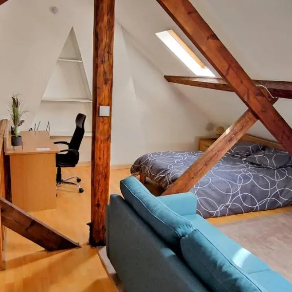 Studio chez l'habitant - SDB privé，位于图尔昆的酒店