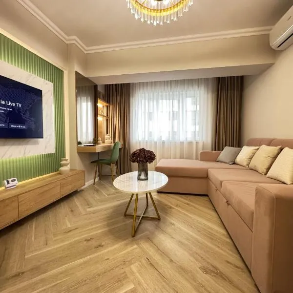 Love My Apartments Near Airport - Parking Free，位于雅西的酒店