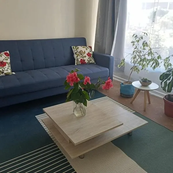 Departamento Avenida Peru，位于维纳德马的酒店