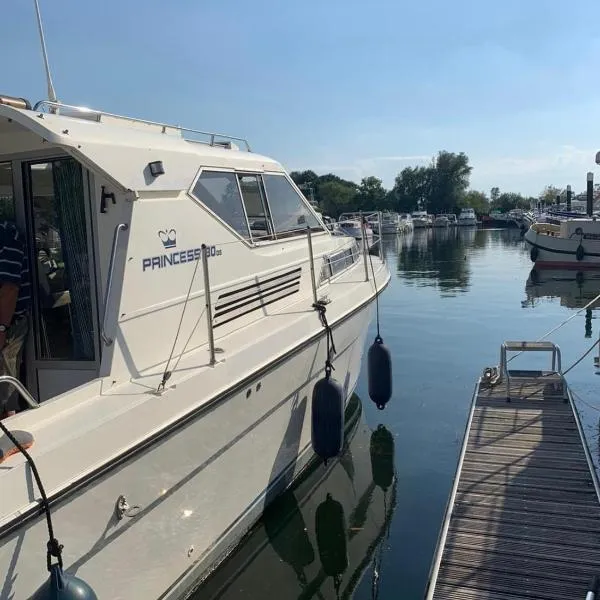 The River Thames - Surrey Boat，位于Thorpe的酒店
