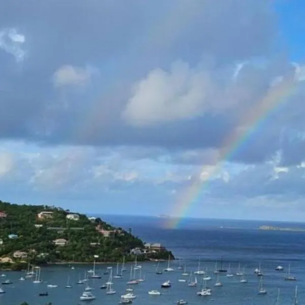Bethany House - IMMACULATE OCEAN VIEWS Above the Westin Resort - Large Deck，位于Cruz Bay的酒店