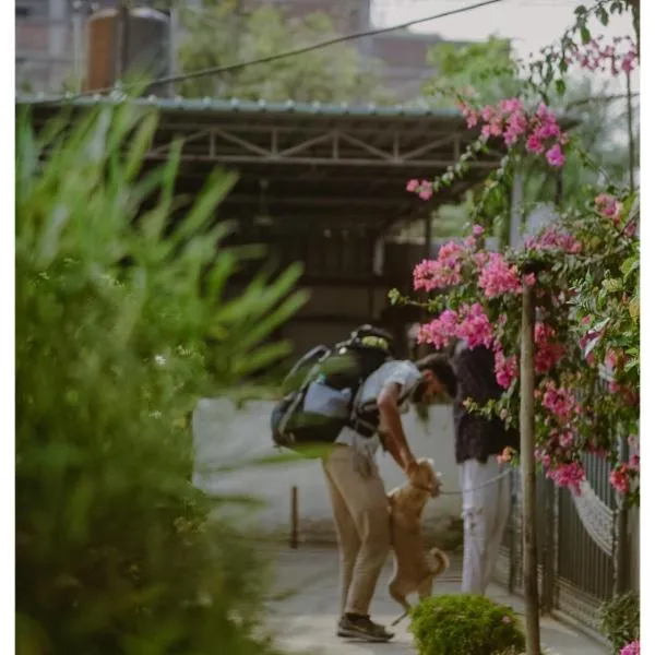 Stargaze Backpackers Hostel，位于古瓦哈提的酒店