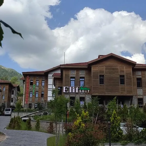Ayder Elif Apart Daire，位于艾德亚耶拉西的酒店