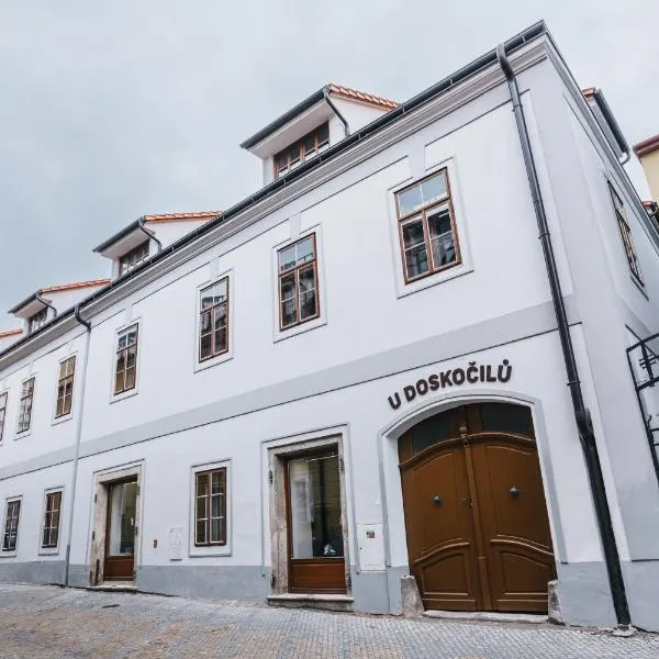 Apartmány U Doskočilů，位于因德日赫城堡的酒店