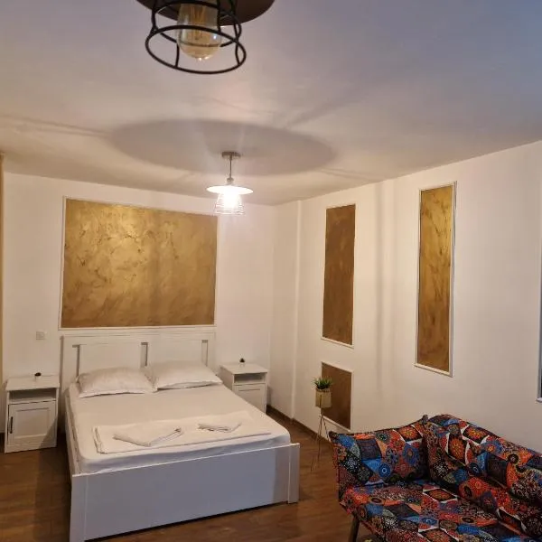 Dania&Petru Apartament's，位于特尔古奥克纳的酒店