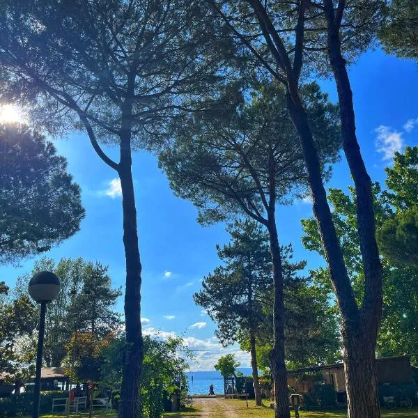 CAMPING AMALASUNTA，位于蒙蒂菲阿斯科尼的酒店