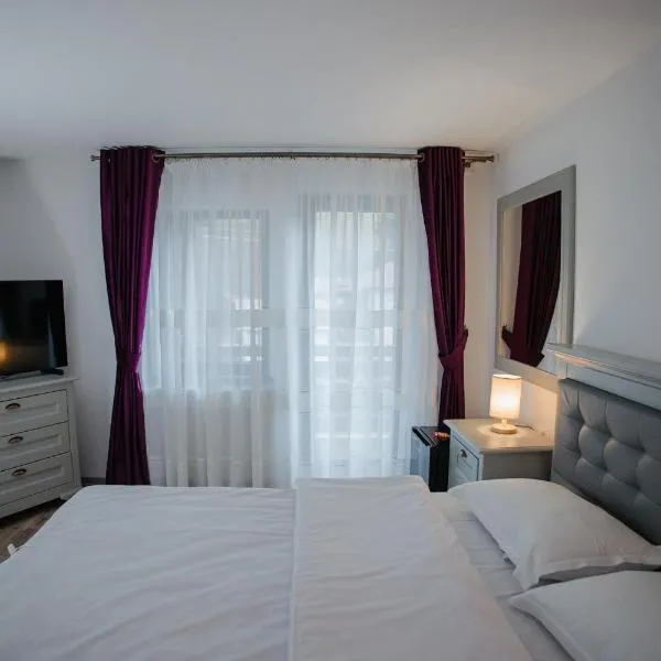 Boierița Home Stay，位于丰杜摩尔多瓦的酒店